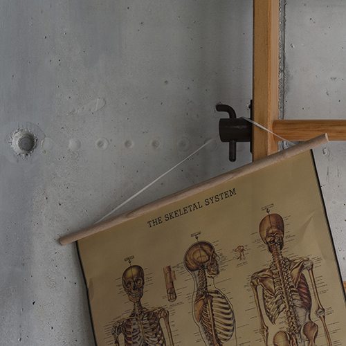 Physiotherapie und Training <br/> Kinesolutions